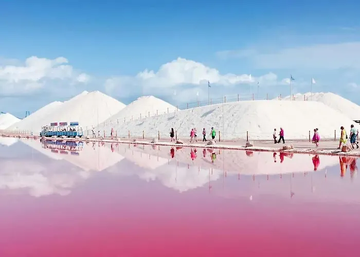 En Con Piscina Y A 100 Metros De La Playa Torrevieja